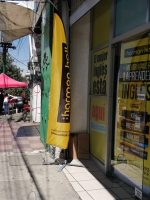 Fashion Publicity Anuncios gratis en Mexico en Pachuca de Soto |  Flag banners modernos diseños y modelos con logo, Flag banners