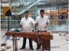 marimba tradicional tropical y versatil para fiestas