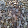  piedra decorativa de mar 