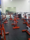 platinum gym