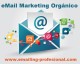 llega al público adecuado con mayor eficacia por email marketing orgán