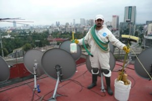 Jorge Zamorano Avisos gratis en Mexico lindo en Atizap&aacute;n de Zaragoza |  Limpieza Desinfeccion Potabilizacion de agua con plata Fumigacion Plagas, 01 55 5379 1970