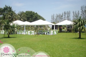 David Lopez Avisos gratis en Mexico lindo en Veracruz |  Rento precioso y amplio jardin en el puerto de Veracruz, Fiestas y Eventos