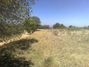edgar  Avisos gratis en Mexico lindo en Lerma |  VENTA DE TERRENO ����� URGE ����������, TERRENO EJIDAL