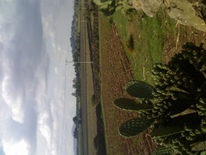 CARLOS MALDONADO Avisos gratis en Mexico lindo en Jilotepec |  TERRENO JILOTEPEC Aldama 1250m2, OPORTUNIDAD CERCA DE JILOTEPEC