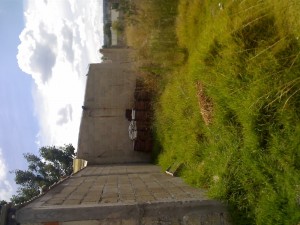 CARLOS MALDONADO Avisos gratis en Mexico lindo en Jilotepec |  TERRENO JILOTEPEC A 100mts DEL HOSPITAL 176m2, OPORTUNIDAD DE NEGOCIO