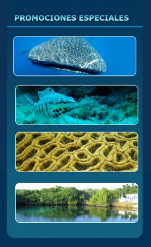 Leonardo Ru&iacute;z Avisos gratis en Mexico lindo en Playa del Carmen |  Buceo en Playa del Carmen, diving, snorkel, buceo, playa del carmen, akumal, chichen itza, cozumel