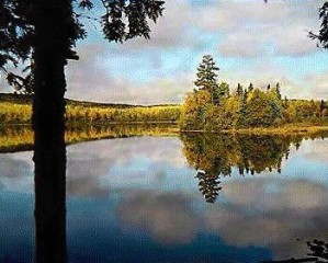  Avisos gratis en Mexico lindo en Ciudad de Mexico |  Sepa como y x q Dios nos oye y realiza deseos, curso gratis x mail mundial, aprende la tecnica de hacer realidad tus sue&ntilde;os