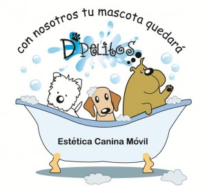 carmina Avisos gratis en Mexico lindo en Tlalpan |  peluqueria canina a domicilio, estetica canina movil
