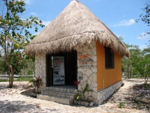 juan carlos pontigo  Avisos gratis en Mexico lindo en Playa del Carmen |  terrenos, terrenos ecologicos