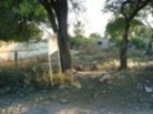 BERTHA MARTINEZ Avisos gratis en Mexico lindo en Tequisquiapan |  VENDO 2 TERRENOS EN TEQUISQUIAPAN, CERCA DE TEQUISQUIAPAN, QRO. EN EL POBLADO DE BORDO BLANCO