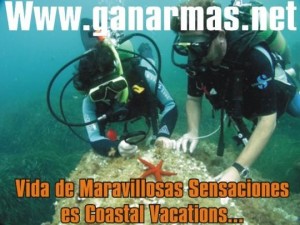 Robin Maurcio Avisos gratis en Mexico lindo en Zaragoza |  Coastal Vacations Chile, Argentina, Bolivia, Coastal Vacations Uruguay, Paraguay, Brasil
