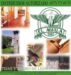 javier Avisos gratis en Mexico lindo en Ciudad de Mexico |  TALAVERA  y   TEJAS  Y  MAS, TEJAS