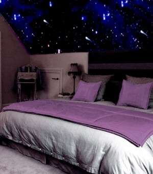 Israel de la Vega Avisos gratis en Mexico lindo en Alvaro Obreg&oacute;n |  Estrellas en el cielo Universe Deco, Decoracion Dormitorios