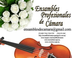 ENSAMBLES PROFESIONA Avisos gratis en Mexico lindo en Alvaro Obreg&oacute;n |  CUARTETO CLASICO PARA BODAS Y MISAS MEXICO, Amplio repertorio cl&aacute;sico, eclesi&aacute;stico o popular para su evento