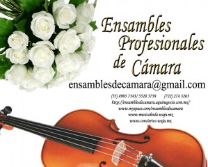 ENSAMBLES PROFESIONA Avisos gratis en Mexico lindo en Alvaro Obreg&oacute;n |  CUARTETO CLASICO PARA BODAS MISAS EVENTOS, ORQUESTA CORO CUERDAS Y SOLISTAS PARA RECEPCIONES Y EVENTOS SOCIALES