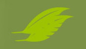 Therapion office Avisos gratis en Mexico lindo en Cuauht&eacute;moc |  Therapion. , Psicologia online.