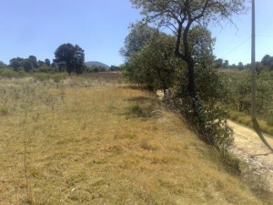 EDGAR AGUILAR Avisos gratis en Mexico lindo en Lerma |  TERRENO A EXCELENTE PRECIO, OFERTO TERRENO