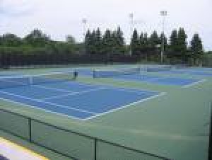  Avisos gratis en Mexico lindo en Quer&eacute;taro |  PINTURA Y MANTENIMIENTO PARA CANCHAS DEPORTIVAS, CANCHAS