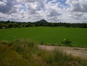 edilberto Avisos gratis en Mexico lindo en Atlixco |  TERRENOS ECONOMICOS EN ATLIXCO PUEBLA, ATLIXCO