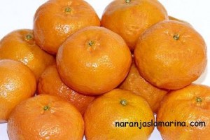  Avisos gratis en Mexico lindo en Buenaventura |  naranjaslamarina.com Venta de naranjas naturales de la Rectoria., naranjaslamarina.com