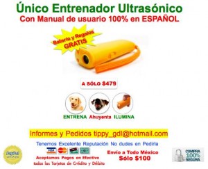 Tikal Avisos gratis en Mexico lindo en Guadalajara |  Educa y Entrena a tu Perro Y Ahuyenta Perros Agresivos de Inmediato, Con el Entrenador Ultras&oacute;nico para perros de toda Raza