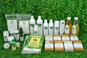  Avisos gratis en Mexico lindo en Monterrey |  Use productos NEEM, recupere su SALUD, excelentes contra CANCER, DIABETES, etc. , el Neem es excelente como auxiliar en tratamientos de Cancer, Diabetes, etc.