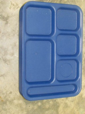 JORGE Avisos gratis en Mexico lindo en Guadalupe |  N�384 CHAROLA DE PLASTICO CON 6 ESPACIOS, CHAROLAS