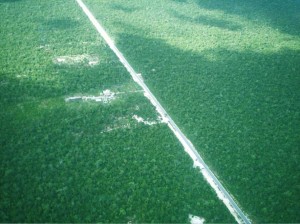 Mahahual 35 Avisos gratis en Mexico lindo en Chetumal |  OPORTUNIDAD 35 HECTAREAS EN MAHAHUAL POR 180 MIL PESOS, PARA INVERSIONISTAS MEXICANOS