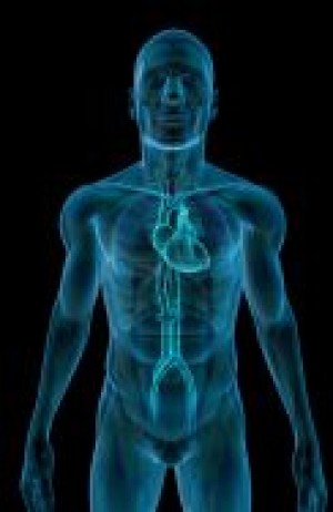 Dr. Mauricio D&iacut Avisos gratis en Mexico lindo en Ciudad de Mexico |  QUELACION EN MEXICO, RESTITUYE EL FLUJO SANGUINEO EN SUS ARTERIAS