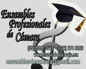 MUSICA PARA CEREMONI Avisos gratis en Mexico lindo en Benito Ju&aacute;rez |  MUSICA PARA GRADUACIONES, orquesta de c&aacute;mara y cuarteto para misa y auditorio. Repertorio muy amplio,