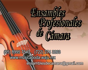GRUPO DE VIOLINES, E Avisos gratis en Mexico lindo en Coyoac&aacute;n |  GRUPO DE VIOLINES, EVENTOS EXCLUSIVOS, El espect&aacute;culo mas lujoso para su ceremonia o banquete