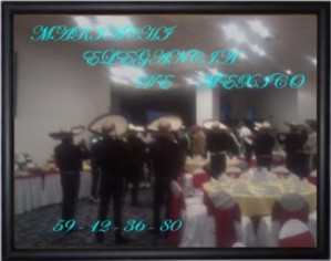 arturo mendez Avisos gratis en Mexico lindo en Alvaro Obreg&oacute;n |  mariachis en alvaro obregon 59 12 36 80 mariachi elegancia de mexico, MARIACHIS EN EL DF Y EDO DE MEX SERVIO DE MARIACHIS LAS 24 HRS 