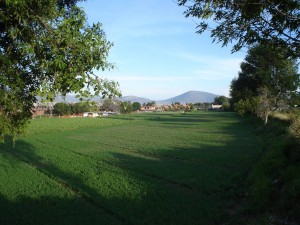 edilberto Avisos gratis en Mexico lindo en Puebla |  TERRENOS RESIDENCIALES EN ATLIXCO PUEBLA, ATLIXCO