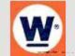 DELIA Avisos gratis en Mexico lindo en Iztapalapa |  REPARACION DE CENTROS DE LAVADO WHITE-WESTINGHOUSE, SERVICIOS DE REPARACION
