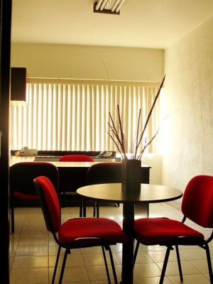 Areli Bayardo Avisos gratis en Mexico lindo en Guadalajara |  OFICINAS VIRTUALES Y FISICAS EN GDL, OFICINAS VIRTUALES Y FISICAS EN 