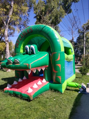 Inflables y Brincoli Avisos gratis en Mexico lindo en Coacalco |  Renta juego inflable cocodrilo coacalco tultitlan tultepec, Tultitlan coacalco tultepec...