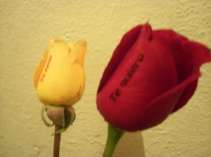  Avisos gratis en Mexico lindo en Cuauht&eacute;moc |  GRABA Y VENDE ROSAS NATURALES, METODO NOVEDOSO Y SENCILLO