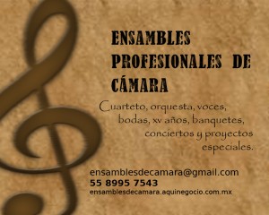 ENSAMBLES PROFESIONA Avisos gratis en Mexico lindo en Ciudad de Mexico |  CUARTETO PARA CEREMONIAS MEXICO, Eventos sociales, religiosos, culturales y comerciales