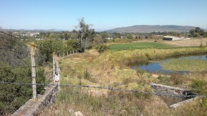 gonzalo escobar g Avisos gratis en Mexico lindo en Jilotepec |  PROPIEDAD PARA DESARROLLAR AGRONEGOCIO CUARENTA Y CUATRO HECTAREAS, CUARENTA Y CUATRO HECTAREAS ESTUPENDAS