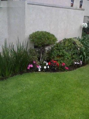 Gildardo Perez Monro Avisos gratis en Mexico lindo en Tlalpan |  JARDINERIA MONROY, JARDINERIA EN GENERAL