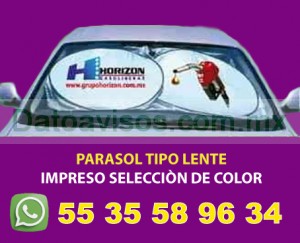 Bernardo Avisos gratis en Mexico lindo en Benito Ju&aacute;rez |  Parasoles para auto personalizados con el logotipo de los pumas, Llame al 55 35 58 96 34 te ofrecemos parasoles oficiales de los pumas
