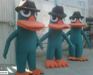 Karim Flores Avisos gratis en Mexico lindo en Nezahualc&oacute;yotl |  Oferta paquete botargas Phineas, Ferb y Perry, Somos fabricantes
