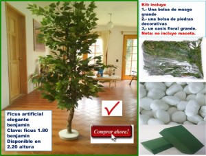 Noemi Salvador Avisos gratis en Mexico lindo en Xochimilco |  donde comprar plantas artificiales &aacute;rbol ficus oferta, contamos con palmeras,palmas,ficus,helechos,flores,macetas y de mejor 