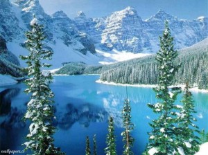  Avisos gratis en Mexico lindo en Huixquilucan |  TRABAJA DESDE CASA COASTAL , OPORTUNIDAD 