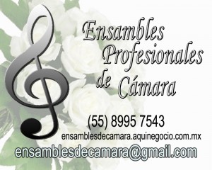 ENSAMBLES PROFESIONA Avisos gratis en Mexico lindo en Ciudad de Mexico |  CUARTETO PARA MISAS Y EVENTOS, cuarteto, violines, orquesta y coro, puntualidad absoluta, asesor&iacute;a inmedia