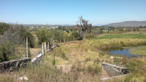 gonzalo escobar Avisos gratis en Mexico lindo en Jilotepec |  propiedad  para desarrollar agronegocio bionegocio, agronegocio  bionegocio