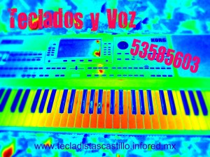  Avisos gratis en Mexico lindo en Ciudad de Mexico |  Tecladista, toco teclados y canto para fiestas, eventos, teclados y voz