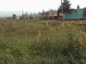  Avisos gratis en Mexico lindo en Tulancingo de Bravo |  FRACCIONAMIENTO VALLE DORADO LOTES DE 120 M2 TULANCINGO HIDALGO, AVE. DEL MAGISTERIO COL MAGISTERIO TULANCINGO HIDALGO