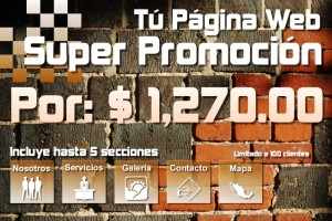 Ricardo Garc&iacute; Avisos gratis en Mexico lindo en Guadalupe |  S&uacute;PER PROMOCI&oacute;N T&uacute; P&aacute;GINA WEB POR SOLO $1,270.00, P&aacute;ginas Web Economicas